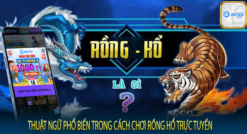 Thuật ngữ phổ biến trong cách chơi Rồng Hổ trực tuyến